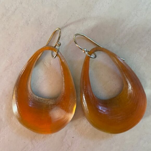 Alexis Bittar lucite earrings - Picture 1 of 3